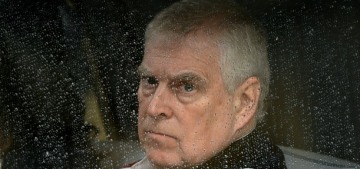 Prince Andrew’s judicial review is not being financed by King Charles, the palace claims