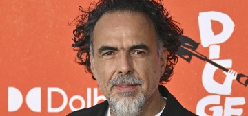 THR dares to ask: is it suspicious that Mexican directors are friends?