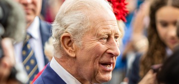 There are ‘jangled nerves’ about King Charles quietly scaling back his schedule