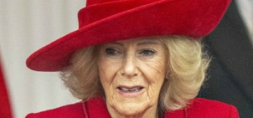 Bower: Queen Camilla thinks Meghan ‘brainwashed’ Prince Harry in 24 hours