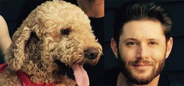 Jensen Ackles kidnapped his dog from the vet by jumping a fence