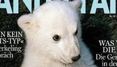 Knut the polar bear is a ‘publicity-addicted psycho’