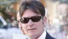 Charlie Sheen to plead guilty to assault, could serve 45 days in  jail