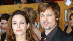 Angelina and Brad have some political blood