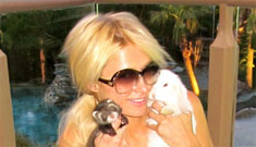 Paris Hilton buys 20 rabbits from the pet store to save them from snakes