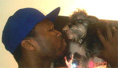 50 Cent starts Tweeting as his dog, Oprah Winfrey
