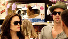 Brad Pitt and Angelina Jolie go shopping at Toys ‘R Us