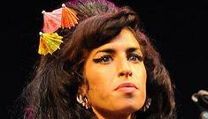 Amy Winehouse appears to throw punch at fan during concert performance