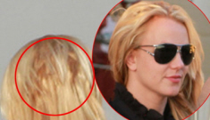 Britney Spears, for the love of God, just shave your head again