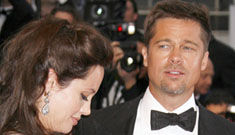 Security and camouflage-clad paparazzi clash outside Brangelina estate (update)