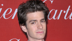 First image of Andrew Garfield as Spiderman released (Spiderdong!)