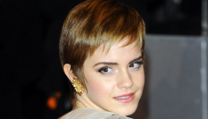 Emma Watson is trying to grow out her hair to get more work: good idea?