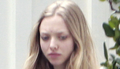 Amanda Seyfried’s dog is the most fascinating thing about her
