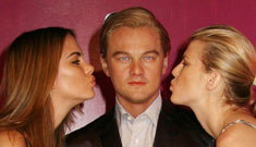 Is Leonardo DiCaprio finally single again?