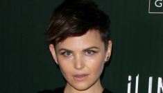 Ginnifer Goodwin’s sketchy hair & other Costume Gala photos