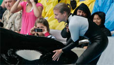 Killer Whale that killed trainer at Sea World is performing again