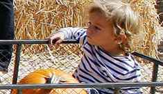Gwen Stefani, Gavin Rossdale and Kingston go to the pumpkin patch