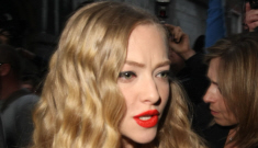 “Amanda Seyfried is too special to pay her parking tickets” links