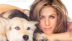 Jennifer Aniston’s dog Norman has passed away at the age of 15