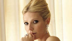 Gwyneth Paltrow goes topless, wears fishnets for Vanity Fair: Goopy or cute?