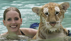 Animal trainers in bikinis swim with tigers