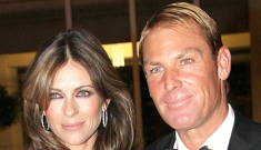 Liz Hurley in pink Blumarine, with cat-faced Shane Warne: tragic or hilarious?