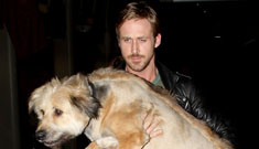 Ryan Gosling brought his bad dog to yoga class, where it peed in the corner