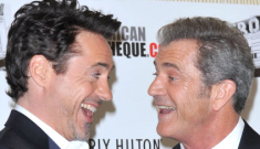 Robert Downey Jr.: “You should forgive Mel Gibson and let him work”