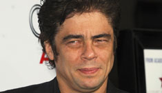 Hot or Not: Benicio Del Toro