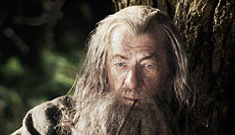 ‘The Hobbit’ trailer arrives: good for the fanboys or just overrated crap?