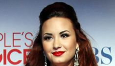 Demi Lovato changes her hair from cherry red to blonde: pretty or washed out?