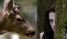 ‘Breaking Dawn – Part 2’ teaser: truly intriguing or too dumb for words?