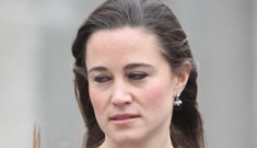 Pippa Middleton is getting advice from a PR professional following the gun incident