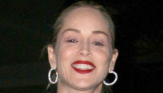 Sharon Stone’s former nanny files lawsuit, accuses Stone   of racism, harassment