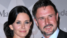 David Arquette filed for divorce from Courteney Cox on their 13-year anniversary