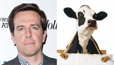 Ed Helms and other celebrities call for Chick-fil-A boycott due to their anti-gay stance