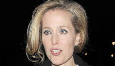 Gillian Anderson splits with her longtime partner, talks about her “fluid sexuality”