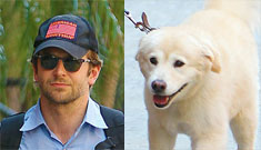 Bradley Cooper brings his rescue pup to interview: does this make you like him more?