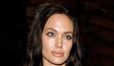 Angelina Jolie is the highest paid actress in the world