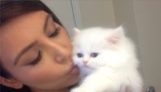 Kim Kardashian keeps   posting photos of her cat Mercy looking miserable