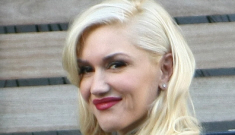 Are Gwen Stefani & Gavin in couples therapy for their troubled marriage?