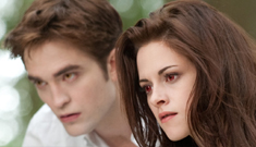 ‘Breaking Dawn Pt 2’ scores $141.3 million on opening weekend: did you see it?