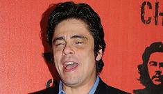 Benicio del Toro doesn’t consider four-hour ‘Che’ epic ‘quixotic’