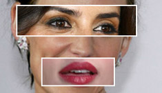 Inventive plastic surgery and celebrity dream features
