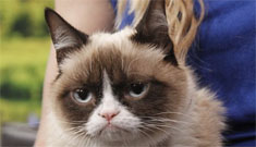Grumpy Cat visits GMA, Times Square & gets pawed: “she’s a sweetheart really”