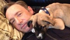 Kevin Spacey adopted a rescue puppy, named her Boston: the cutest thing ever?
