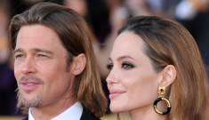 Brad Pitt: ‘I find Angie’s choice… absolutely heroic, this is a happy day’