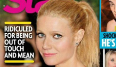 Gwyneth Paltrow ‘has gone from pretentious to unbearable’, people hate her