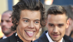 Simon Cowell, One Direction at the ‘This Is Us’ premiere: who would you rather?