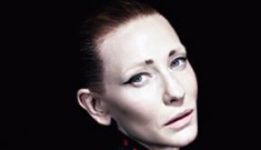Cate Blanchett goes without eyebrows for AnOther Mag: enchanting or terrible?